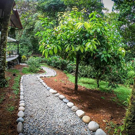 The Scarlet Villas Ojochal Exterior foto